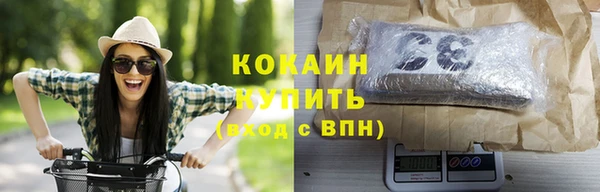 твердый Абаза