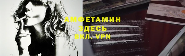 твердый Абаза