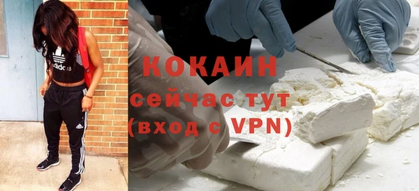 твердый Абаза