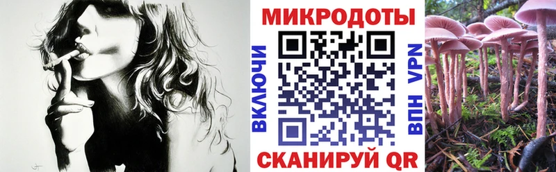Галлюциногенные грибы мухоморы  Тарко-Сале 